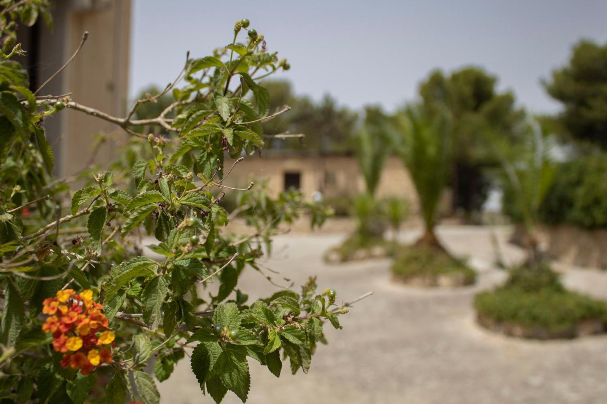 Agriturismo Bellajo - Ville Rustiche Con Piscina Agrigento Exterior photo